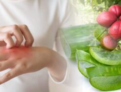 Cara Menghilangkan Gatal pada Kulit yang Tak Kunjung Sembuh Panduan Lengkap