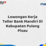 Lowongan Kerja Teller Bank Mandiri Di Kabupaten Pulang Pisau Tahun 2025 (Lamar Sekarang)