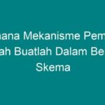 Mengenal Skema Pembekuan Darah dan Gangguan Terkait