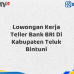 Lowongan Kerja Teller Bank BRI Di Kabupaten Teluk Bintuni Tahun 2025 (Lamar Sekarang)