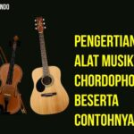 Berikut Adalah Contoh-Contoh Alat Musik Chordophone