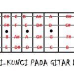 Cara Belajar Bass untuk Pemula: Panduan Langkah demi Langkah