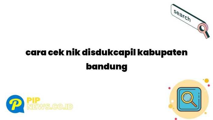 Cara Cek NIK Disdukcapil Kabupaten Bandung: Panduan Lengkap dan Akurat 2 116a25c8f010071