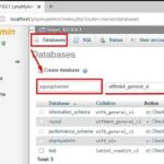 Cara Mudah Mengunduh Database di phpMyAdmin: Panduan Langkah demi Langkah