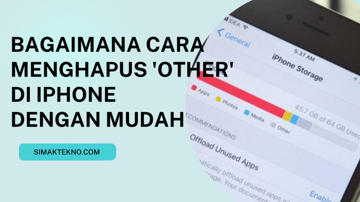 Cara Menghapus “Other” di iPhone: Panduan Lengkap 2 116a25c9464ed71