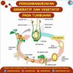 Daun Jeruk Berkembang Biak dengan Cara Panduan Lengkap dan Efektif