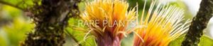 featured-image