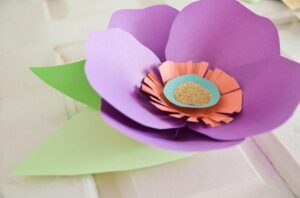 featured-image