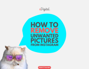 featured-image