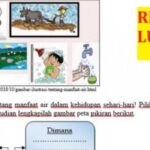 RPP Tema 6 Kelas 5 Panduan Lengkap
