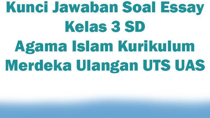116a25d2c5695b2