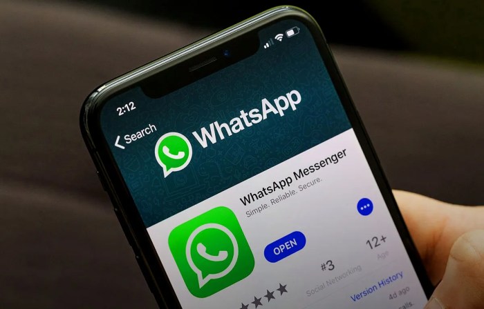 Cara Update WhatsApp Kadaluarsa di Android Panduan Lengkap dan Solusi
