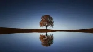 featured-image