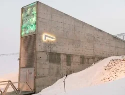 Home 28 featured-image