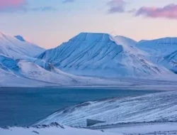 Mengungkap Svalbard Global Seed Vault: Benteng Ketahanan Pangan Global di Ujung Bumi