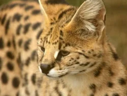 Home 23 featured-image