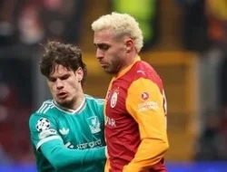 Home 17 featured-image