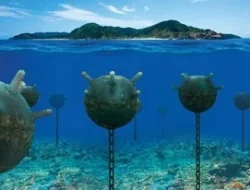 Ancaman di Jalur Energi Dunia: Analisis Mendalam Penempatan Ranjau Laut Iran di Selat Hormuz