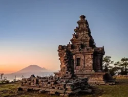 Home 22 featured-image