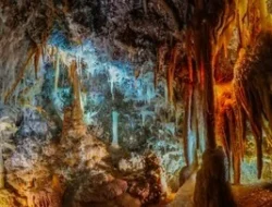 Home 29 featured-image