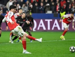 Home 17 featured-image