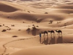 Mengungkap Jejak Hijau Sahara: Kisah Transformasi Iklim Purba yang Mengagumkan