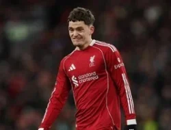 Home 17 featured-image