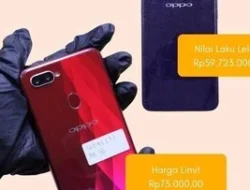 Home 29 featured-image