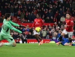 Home 17 featured-image