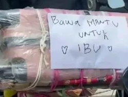 Home 27 featured-image