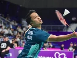 Home 17 featured-image