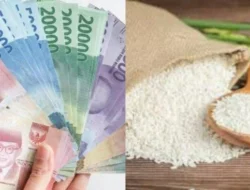 Terkuak! Cara Cek Desil DTSEN Anda: Penentu Bantuan Sosial Sampai 2026!