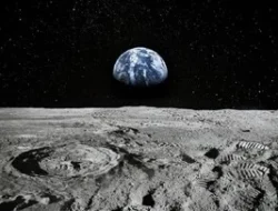 Home 31 featured-image