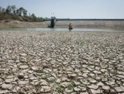 Home 29 featured-image