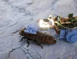 Home 28 featured-image