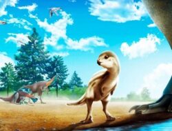 Terungkap! Dinosaurus Paling Menggemaskan dari Korea Selatan, Namanya Bikin Gemas!