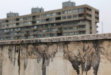 scraped 1774854967 1