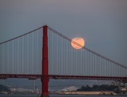 TERUNGKAP! Langit April 2026 Siapkan Pesta Cahaya Epik: Pink Moon & Hujan Meteor Lyrid!