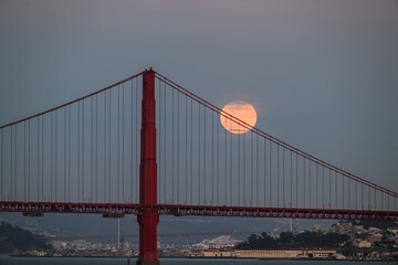 scraped 1774964450 1