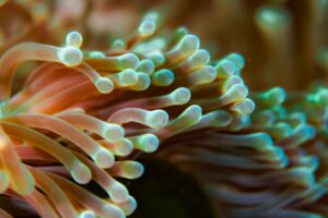 featured-image