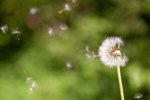 featured-image