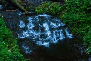 featured-image