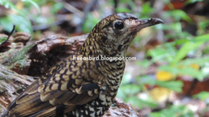 featured-image