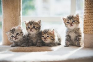 featured-image