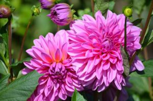 featured-image