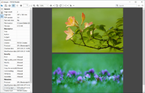 featured-image