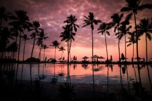 featured-image