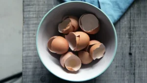 featured-image