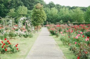 featured-image