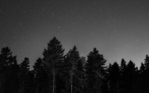 featured-image